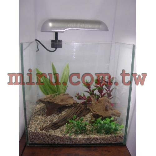 J&D高品質8吋照景缸(各式魚缸可接受定製)