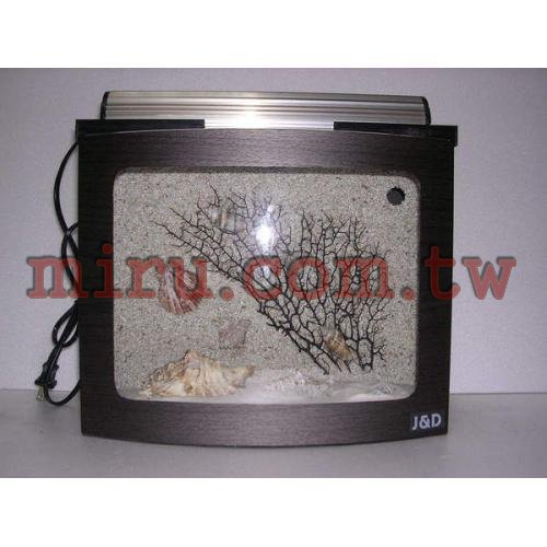 J&D天然ㄉ海樹貝殼造景缸(各式魚缸接受訂製)