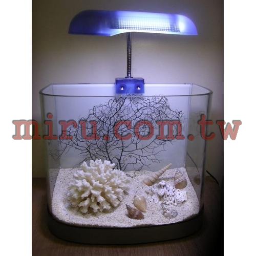 J&D高品質25cm海灣ㄇ型照景缸(各式魚缸可接受訂製)
