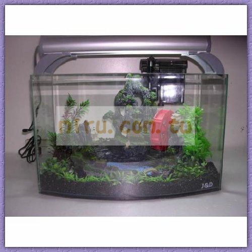 J&D高品質40cm雙海灣照景缸 加水就可養