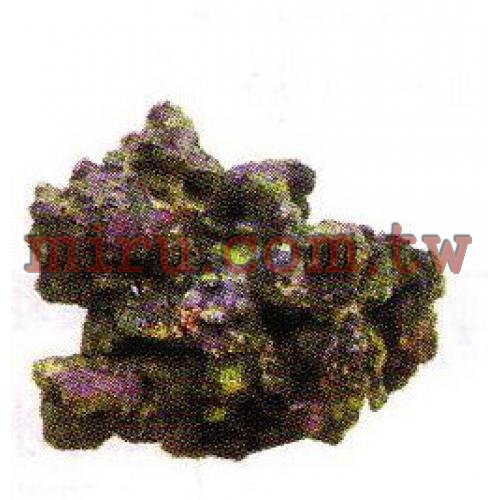 ISTA代理 人工珊瑚活石系列 片狀活石(770)