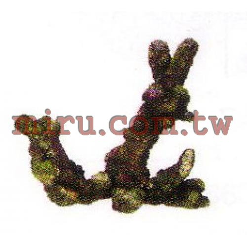 ISTA代理 人工珊瑚活石系列 枝狀活石(757)