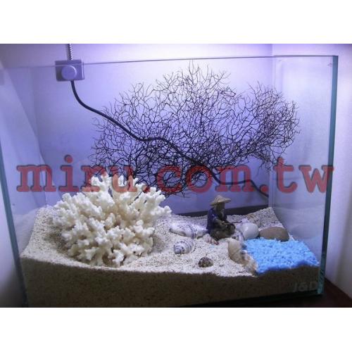J&D高品質1尺水晶珊瑚照景缸(缸+11WPL藍燈+過濾+珊瑚照景)