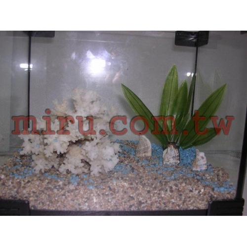 J&D全新護腳缸(含照景)(缸+燈+過濾+造景)