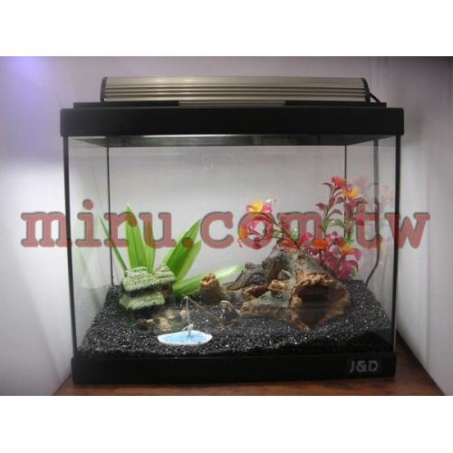 J&D高品質1呎照景缸(缸+燈+過濾+造景)