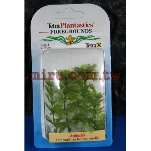 德國Tetra 仿真水草(造景假水草)杉藻(2吋)