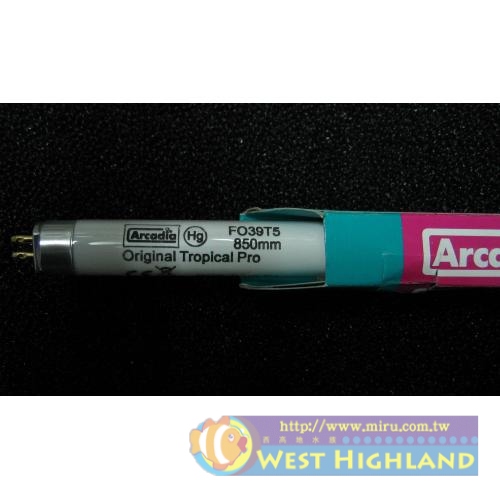 英國Arcadia阿卡迪亞 新超亮淡水鹵素燈管T5(24W)