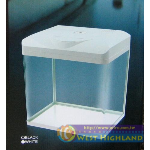   雅柏UP 時尚小彎角ㄇ型玻璃套缸38cm白色 含上蓋+上部過濾+燈具