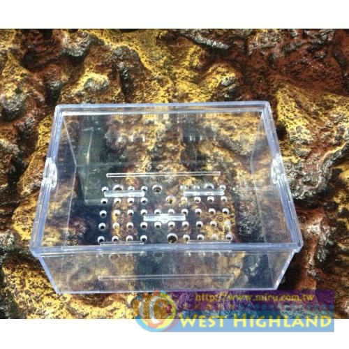 一體成形壓克力透明滴流槽 專用滴流盒(小)16cm*12cm*7cm