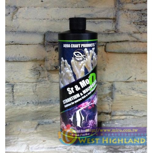 美國ACP 二次元專業鍶+鉬離子添加劑 16oz 