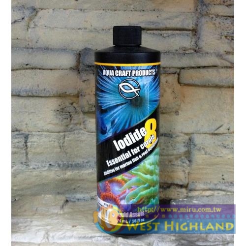 美國ACP 二次元專業碘離子添加劑 16oz 