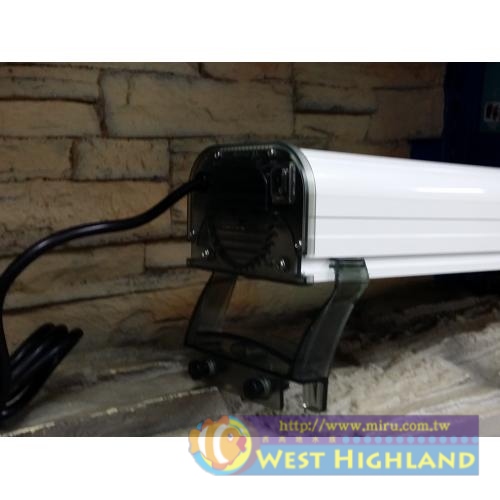 台灣 頂級貓頭鷹(菲...)1.6尺FL-15W*2