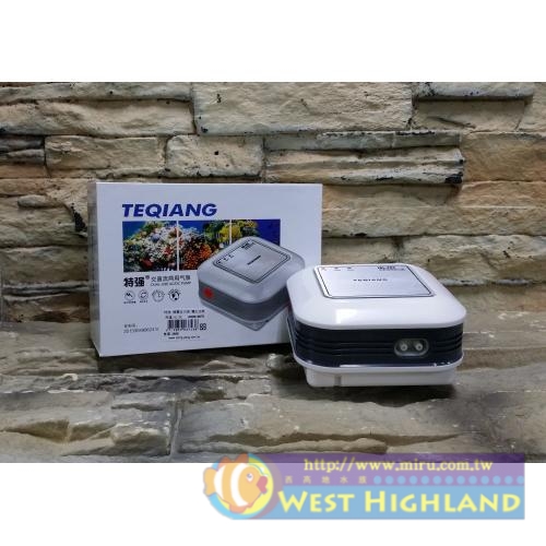 特強 TEQIANG 特強鋰電全天候 雙孔打氣馬達AC/DC 