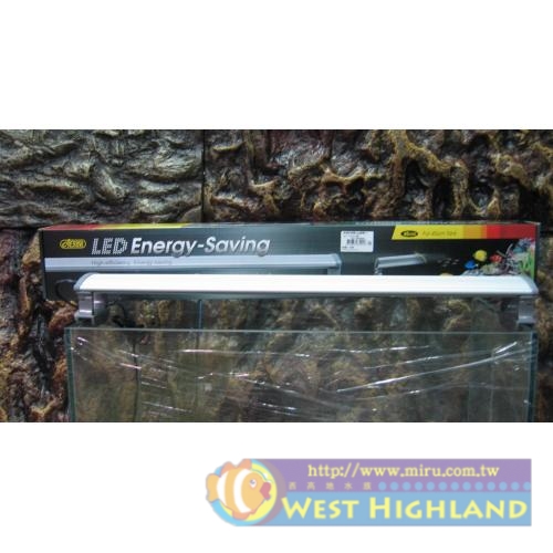 ISTA伊士達 STA 高效能省電LED跨燈 全白2尺 