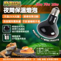爬蟲先生 夜間保溫燈泡(100W)