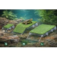 爬蟲先生 爬蟲先生 烏龜草坪爬台S