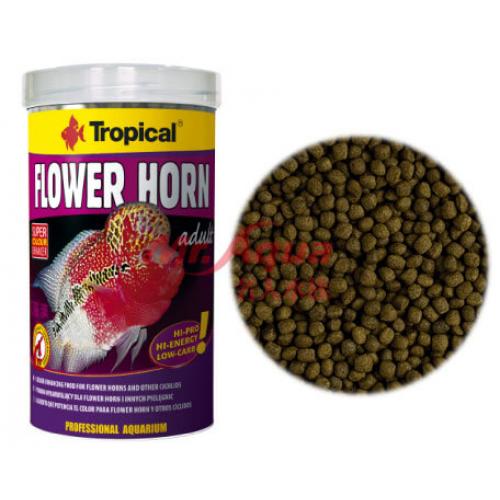波蘭Tropical德比克 高蛋白花羅漢增豔飼料 1000ml